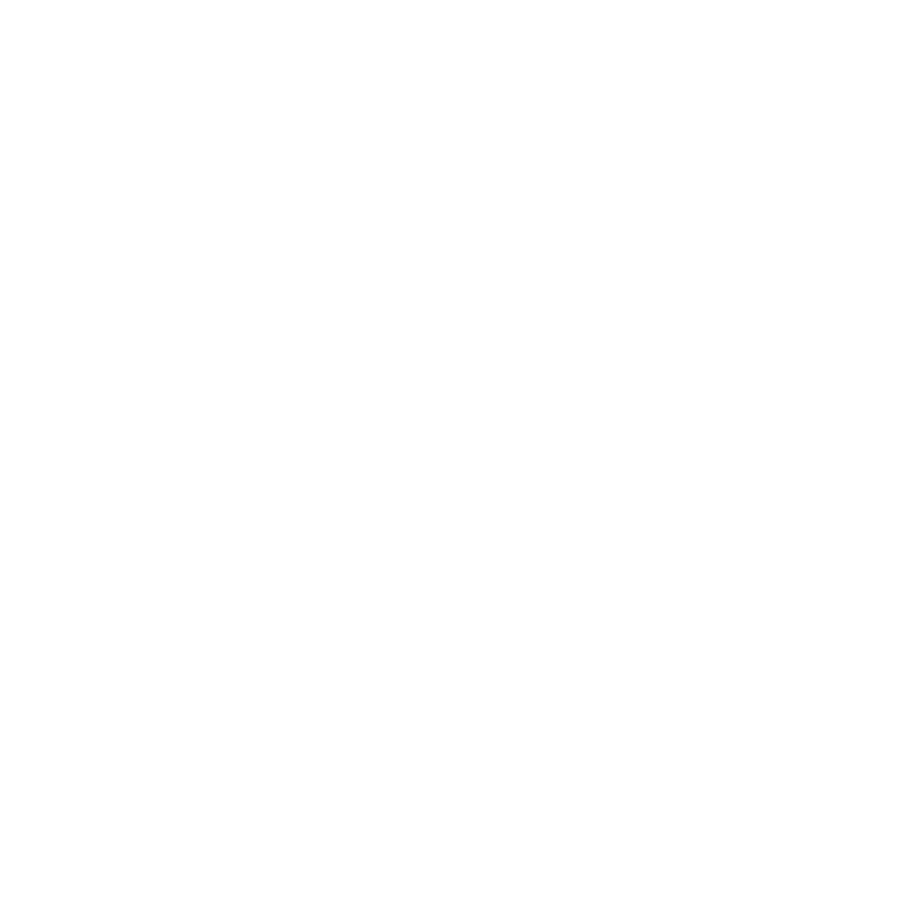 Презентация по SERM